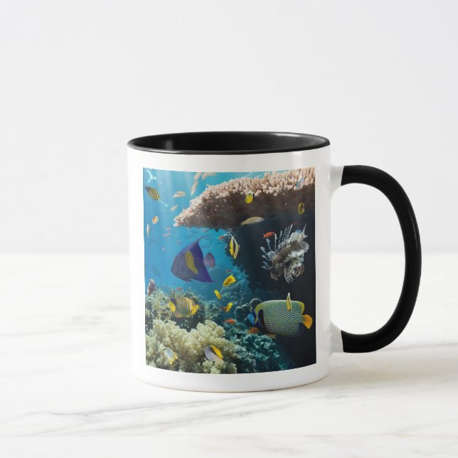 Koralle und Fische im Roten Meer, Ägypten Tasse (Rechts)