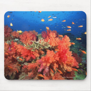Koralle und Fische Mousepad