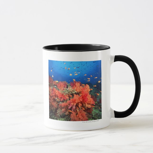 Koralle und Fische Tasse (Rechts)
