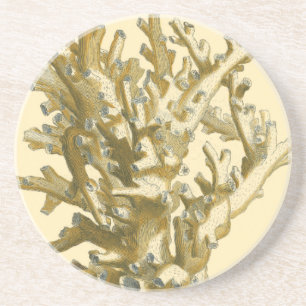 Korallen am Meer Sandstein Untersetzer