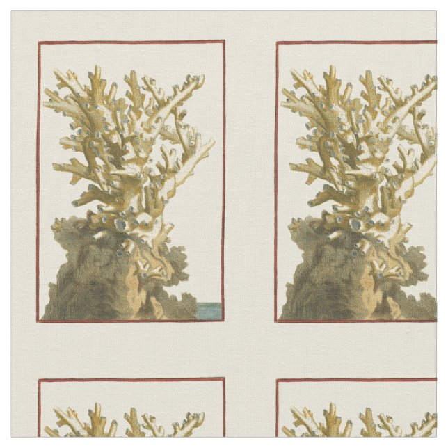 Korallen am Meer Stoff (Nahaufnahme)