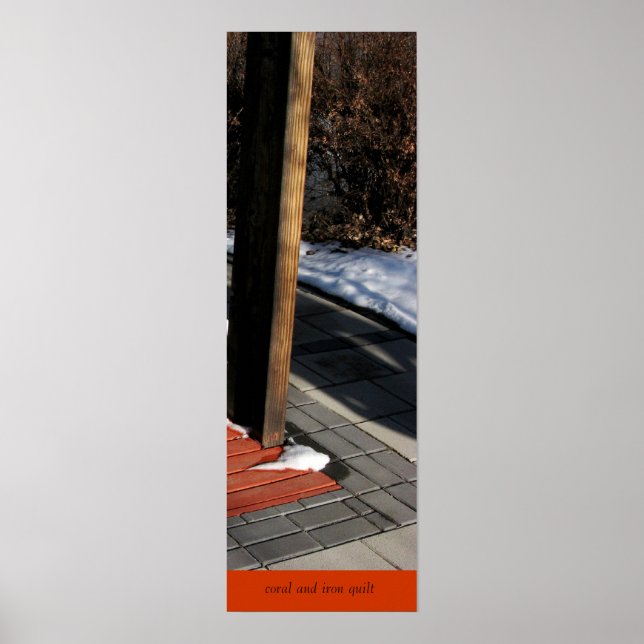 Korallen- und Eisensteckposter Poster (Vorne)