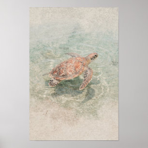 Korallen- und Meerwasserglas-Meeresschildkröten-Kü Poster