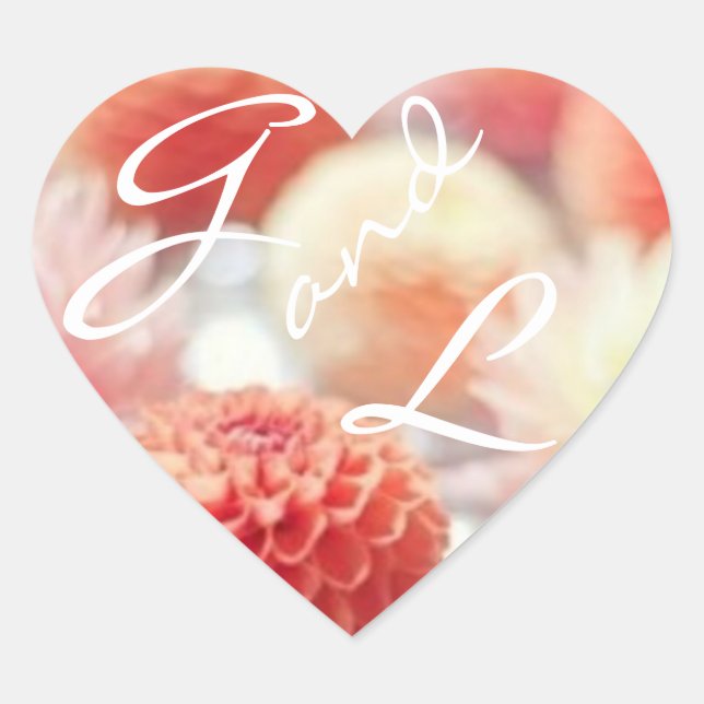 Korallenbeschleuniger Herz-Aufkleber (Vorderseite)
