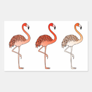 Korallenfarbene Flamingos Rechteckiger Aufkleber