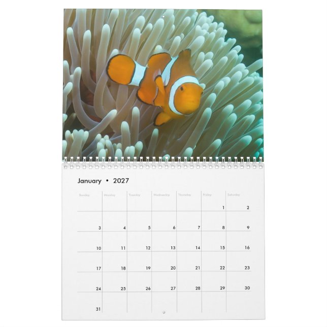 Korallenkalender 2023 kalender (Jan 2027)