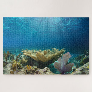 Korallenriff 20"x30" puzzle