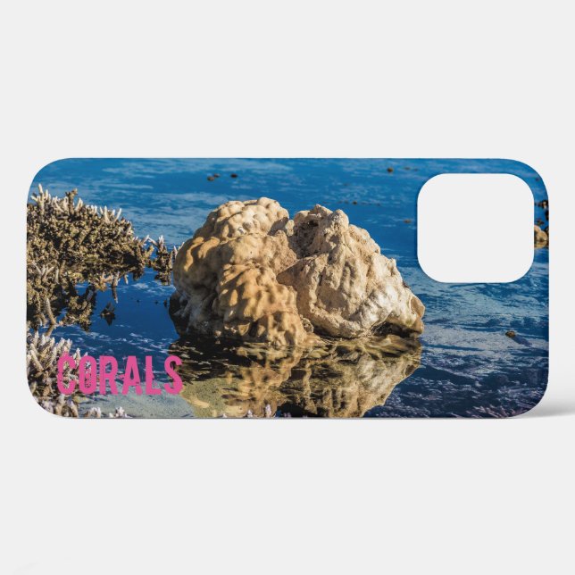 Korallenriff bei Ebbe Case-Mate iPhone Hülle (Rückseite (Horizontal))