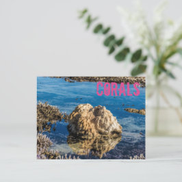 Korallenriff bei Ebbe Feiertagspostkarte