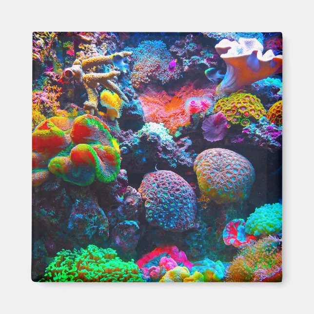 Korallenriff bunter Magnet (Vorne)