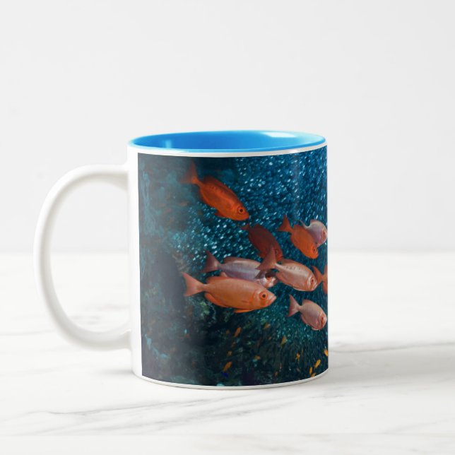 Korallenriff-Landschaft | Großauge oder Zweifarbige Tasse (Links)