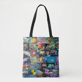 Korallenriff — Leben in der Marine: Fische und Tie