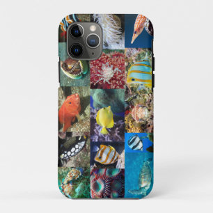 Korallenriff-Meeresfische-Tiere-Bildungs-Collage Case-Mate iPhone Hülle