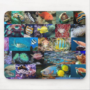 Korallenriff Meereslebewesen Fische Tiere Naturlie Mousepad