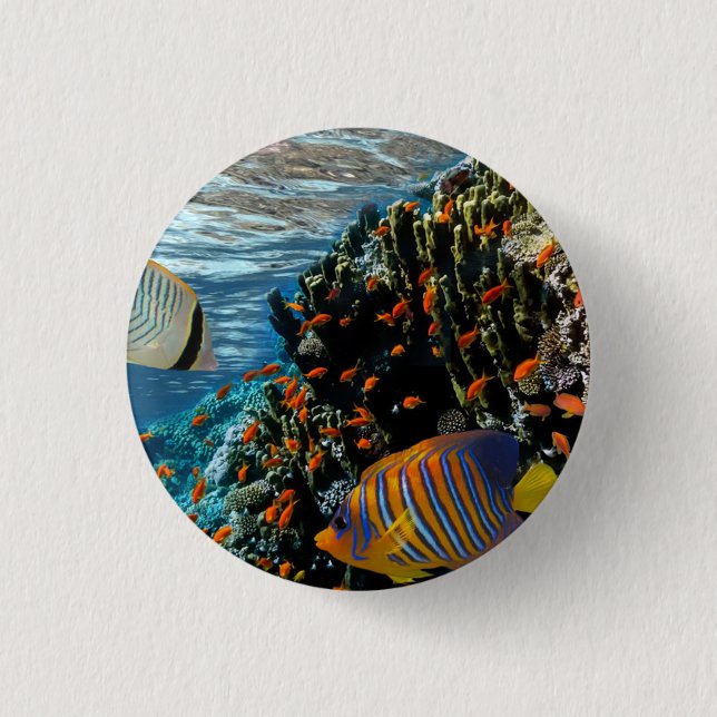 Korallenriff mit Feuerkorallen und exotischen Fisc Button (Vorderseite)