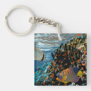 Korallenriff mit Feuerkorallen und exotischen Fisc Schlüsselanhänger