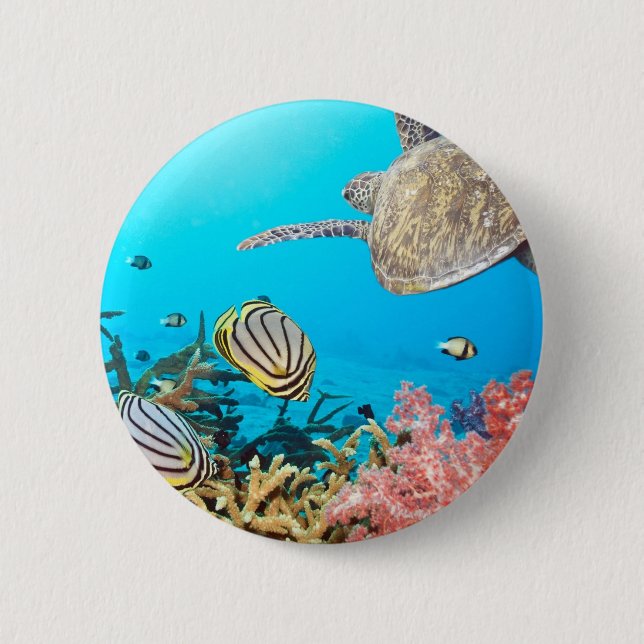 Korallenriff-Schildkröte Naturescape Button (Vorderseite)