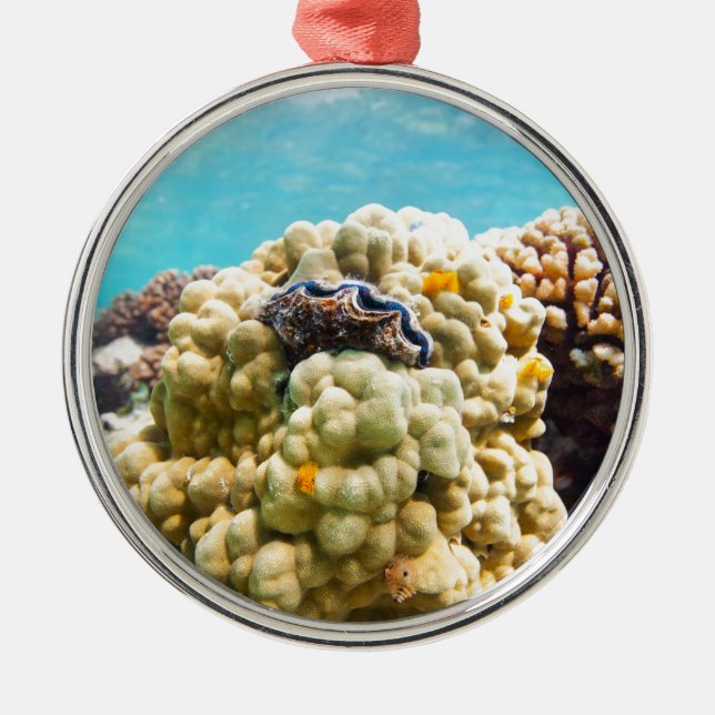 Korallenriff Silbernes Ornament (Vorne)