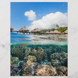Korallenriff und ein tropisches Resort Flyer