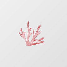 Korallenriff unter dem Meer Denkmäler Decals