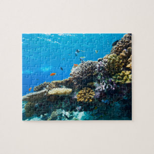 Korallenriff unter Wasser Puzzle