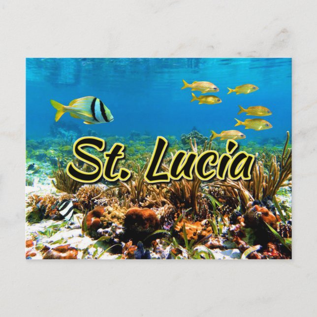Korallenriff von St. Lucia Postkarte (Vorderseite)
