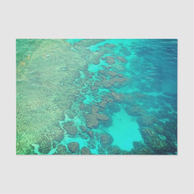 Korallenriffpapier Seidenpapier (Vorderseite)