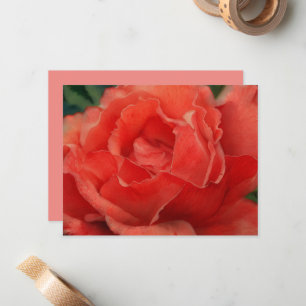 Korallenrosa Rosenblumen Kunst Notizkartenset Mitteilungskarte