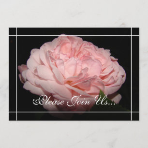 Korallenrote Einladung