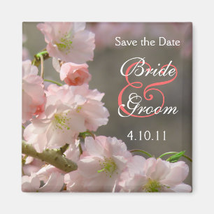 Korallenrote Kirsche Bloosom Save the Date Magnet