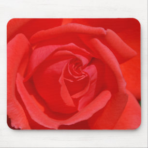 Korallenrote Rose Mousepad