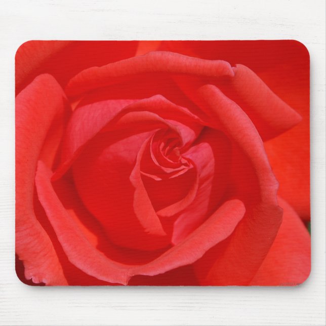 Korallenrote Rose Mousepad (Vorne)