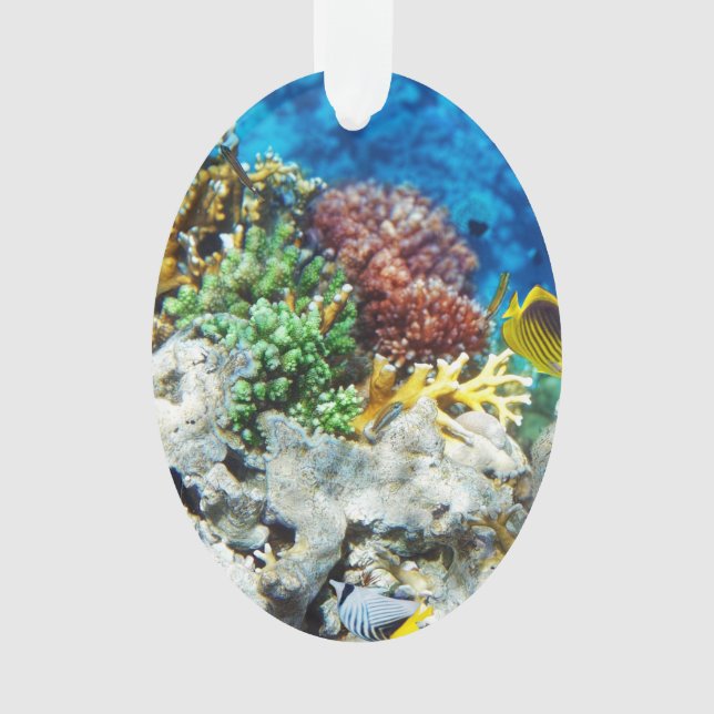 Korallenrotes Aquarium Ornament (Vorderseite)