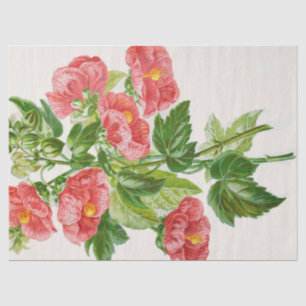 Korallenrotes Malven-Blumen-Kunst-Seidenpapier Seidenpapier
