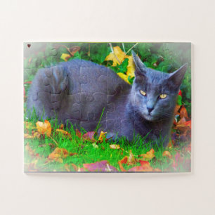 Korat-Katze Puzzle