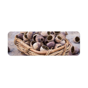 Korb des getrockneten Hülsen-Mohns