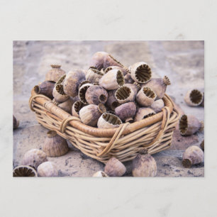 Korb des getrockneten Hülsen-Mohns Einladung