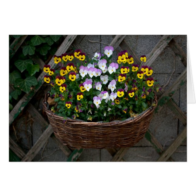 Korb mit Stiefmütterchen (Vorderseite (Horizontal))
