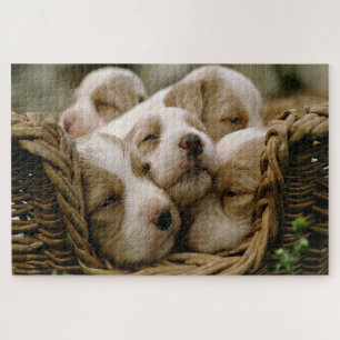Korb voller Welpen Puzzle