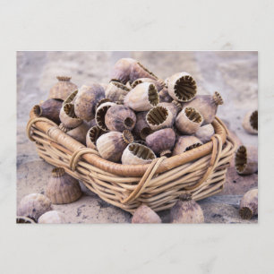 Körbe aus getrocknetem Mohnsamen Einladung