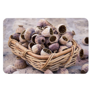 Körbe mit getrocknetem Mohnsamen Magnet