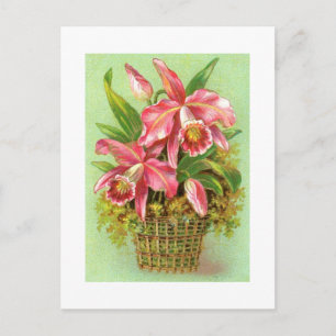 Körbe mit rosa Orchids Vintage Image Postcard Postkarte
