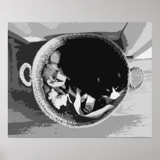 Korbkatze Poster