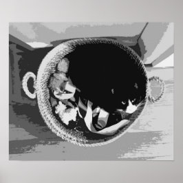 Korbkatzenposter Poster