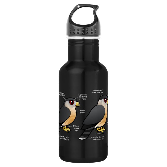 Korbv Sharpie Edelstahlflasche (Vorderseite)