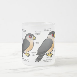 Korbv Sharpie Mattglastasse