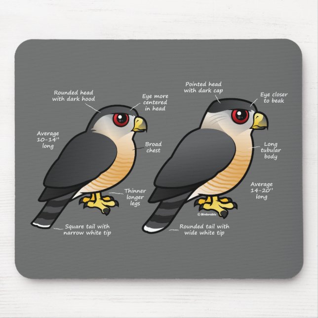 Korbv Sharpie Mousepad (Vorne)