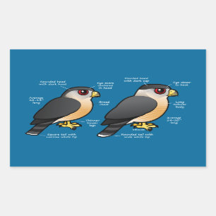 Korbv Sharpie Rechteckiger Aufkleber