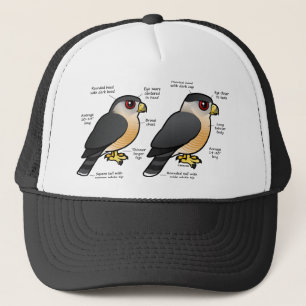 Korbv Sharpie Truckerkappe