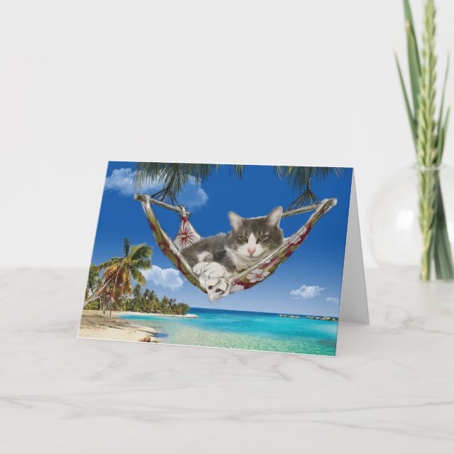 Korduroy in der Karibik, Katze mit Hängematte Karte (Vorderseite)